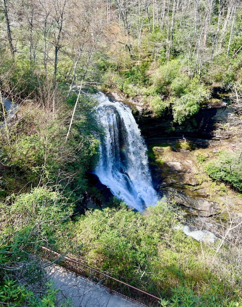 view from dry falls from platform at the top of the trail in nantahala national forest