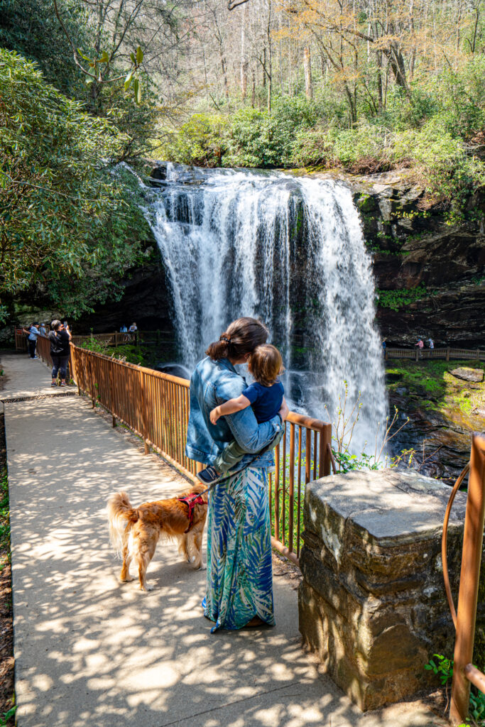 kate storm holding her toddler and standing next to her dog ranger, looking at dry falls nc from the trail down to the waterfall