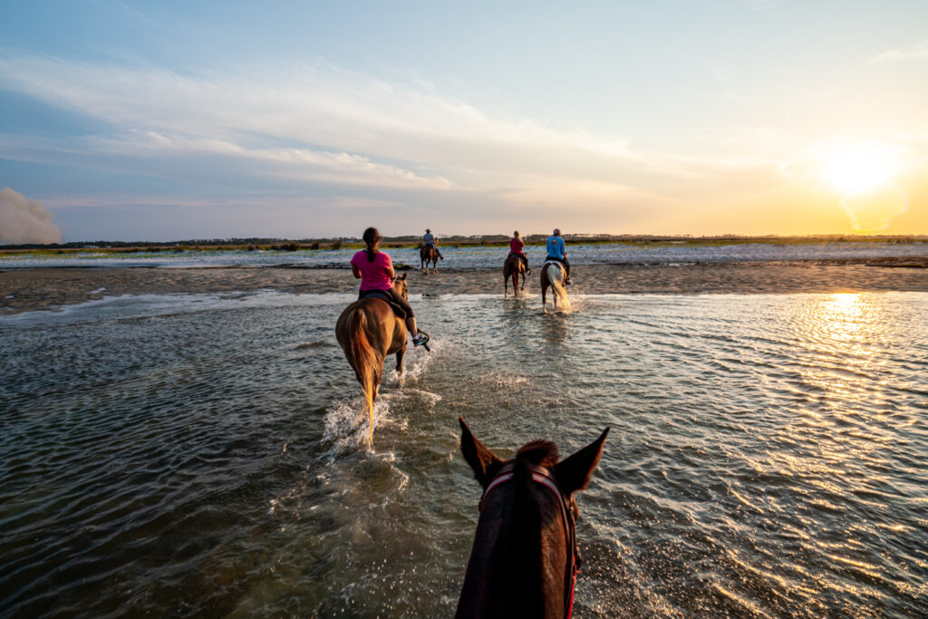 collection of horseback riders crossing the water at cedar island at sunset