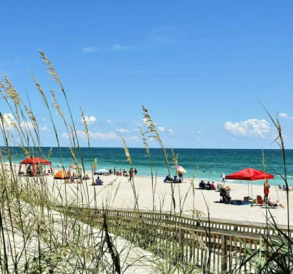 fort macon beach in summer with beach umbrellas set up beyond the dunes and ocean in the background