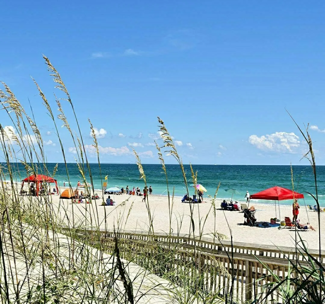 fort macon beach in summer with beach umbrellas set up beyond the dunes and ocean in the background